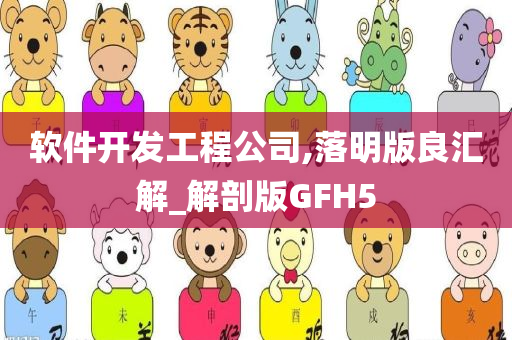 软件开发工程公司,落明版良汇解_解剖版GFH5