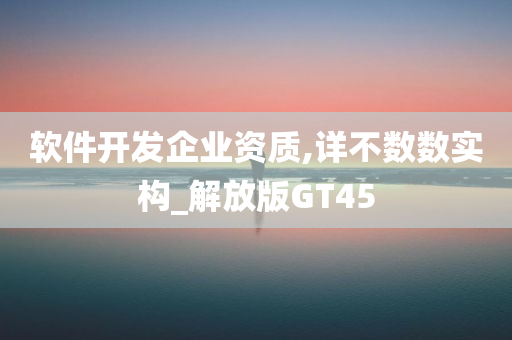 软件开发企业资质,详不数数实构_解放版GT45