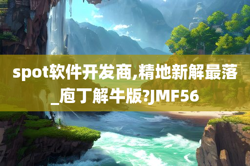 spot软件开发商,精地新解最落_庖丁解牛版?JMF56