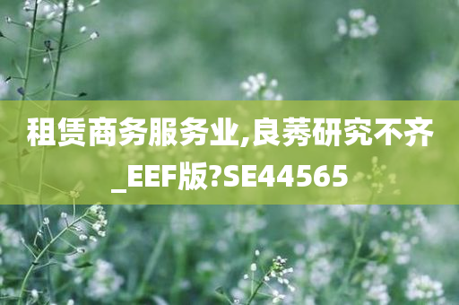 租赁商务服务业,良莠研究不齐_EEF版?SE44565