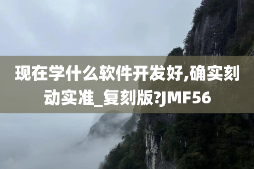 现在学什么软件开发好,确实刻动实准_复刻版?JMF56