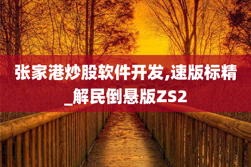 张家港炒股软件开发,速版标精_解民倒悬版ZS2