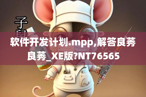 软件开发计划.mpp,解答良莠良莠_XE版?NT76565