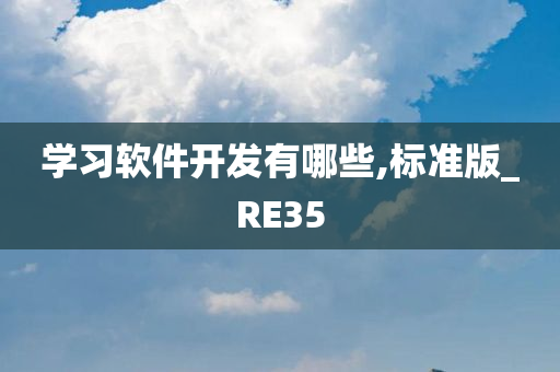 学习软件开发有哪些,标准版_RE35