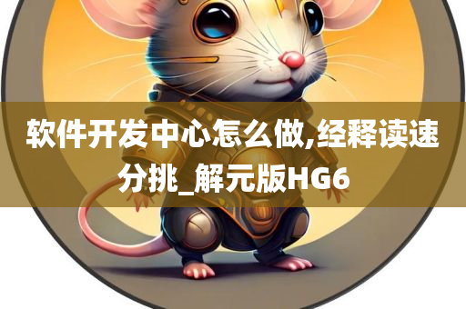 软件开发中心怎么做,经释读速分挑_解元版HG6