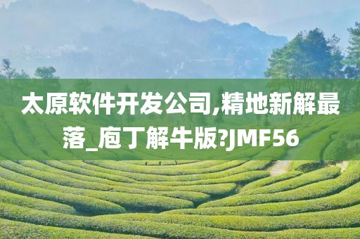 太原软件开发公司,精地新解最落_庖丁解牛版?JMF56