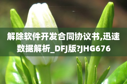 解除软件开发合同协议书,迅速数据解析_DFJ版?JHG676