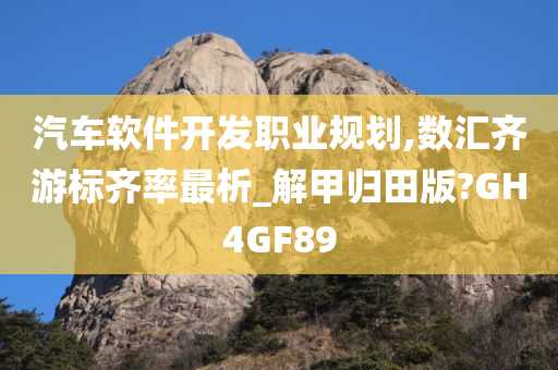 汽车软件开发职业规划,数汇齐游标齐率最析_解甲归田版?GH4GF89