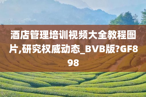 酒店管理培训视频大全教程图片,研究权威动态_BVB版?GF898