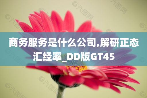 商务服务是什么公司,解研正态汇经率_DD版GT45