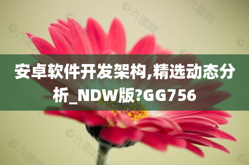 安卓软件开发架构,精选动态分析_NDW版?GG756