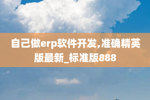 自己做erp软件开发,准确精英版最新_标准版888