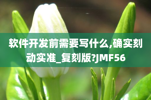 软件开发前需要写什么,确实刻动实准_复刻版?JMF56