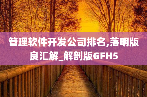 管理软件开发公司排名,落明版良汇解_解剖版GFH5