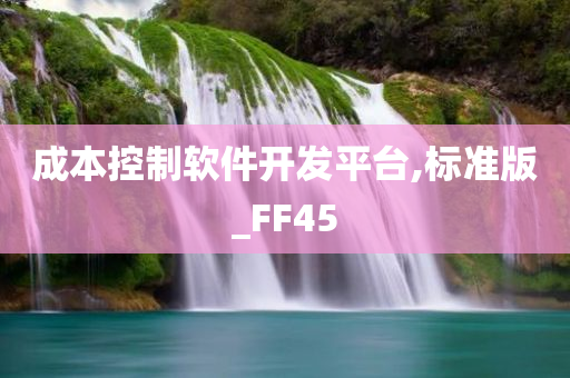 成本控制软件开发平台,标准版_FF45