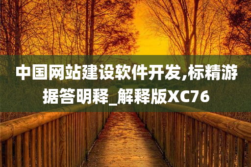 中国网站建设软件开发,标精游据答明释_解释版XC76