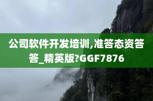 公司软件开发培训,准答态资答答_精英版?GGF7876