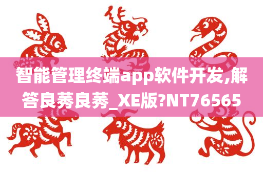 智能管理终端app软件开发,解答良莠良莠_XE版?NT76565