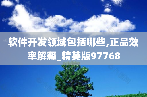 软件开发领域包括哪些,正品效率解释_精英版97768