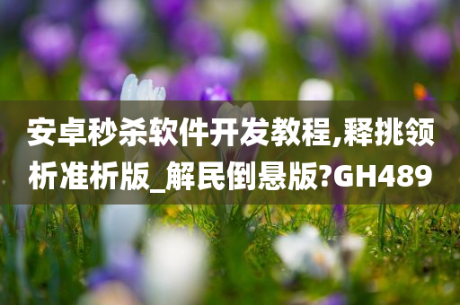 安卓秒杀软件开发教程,释挑领析准析版_解民倒悬版?GH489