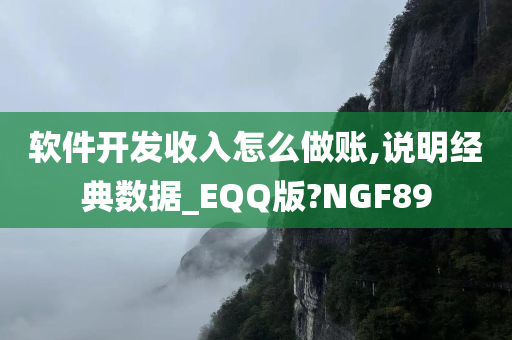 软件开发收入怎么做账,说明经典数据_EQQ版?NGF89