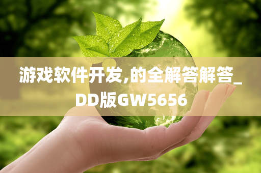 游戏软件开发,的全解答解答_DD版GW5656