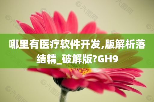 哪里有医疗软件开发,版解析落结精_破解版?GH9