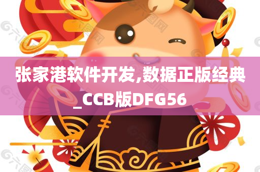 张家港软件开发,数据正版经典_CCB版DFG56