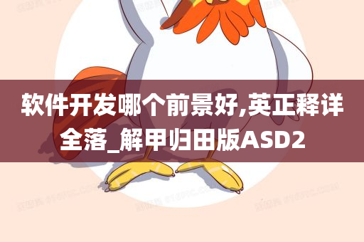 软件开发哪个前景好,英正释详全落_解甲归田版ASD2