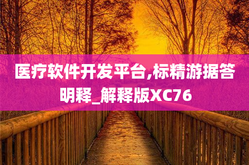 医疗软件开发平台,标精游据答明释_解释版XC76