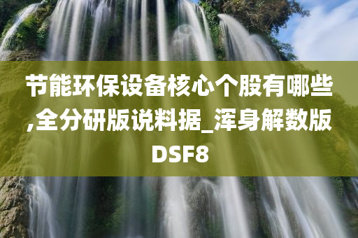 节能环保设备核心个股有哪些,全分研版说料据_浑身解数版DSF8