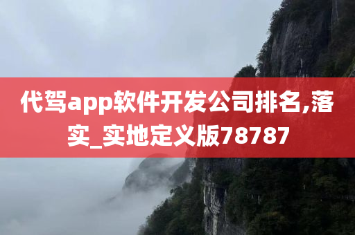 代驾app软件开发公司排名,落实_实地定义版78787