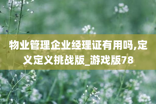 物业管理企业经理证有用吗,定义定义挑战版_游戏版78