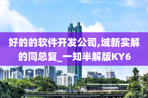 好的的软件开发公司,域新实解的同总复_一知半解版KY6