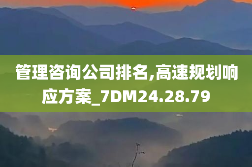 管理咨询公司排名,高速规划响应方案_7DM24.28.79