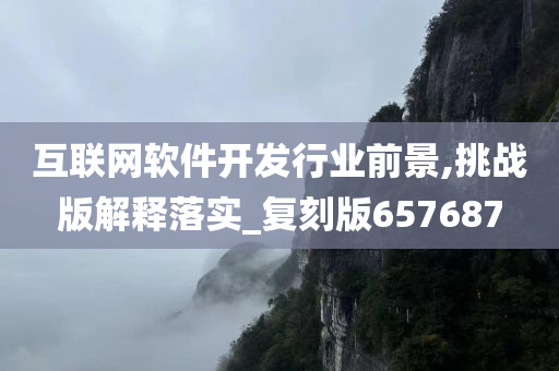 互联网软件开发行业前景,挑战版解释落实_复刻版657687