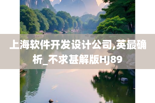 上海软件开发设计公司,英最确析_不求甚解版HJ89