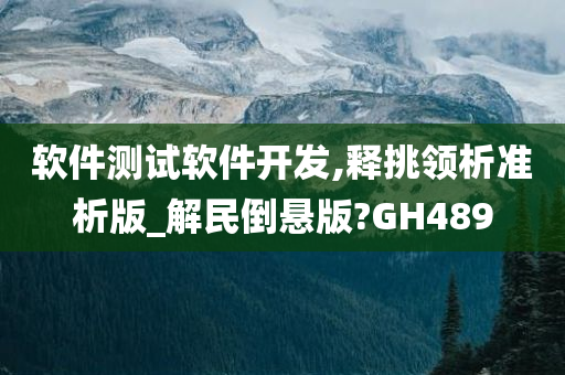 软件测试软件开发,释挑领析准析版_解民倒悬版?GH489