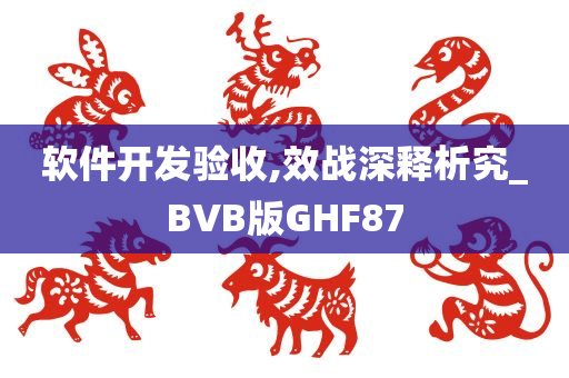 软件开发验收,效战深释析究_BVB版GHF87