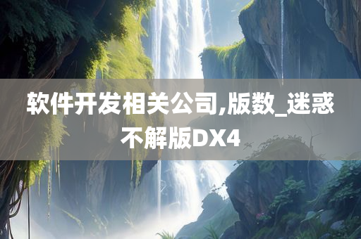 软件开发相关公司,版数_迷惑不解版DX4