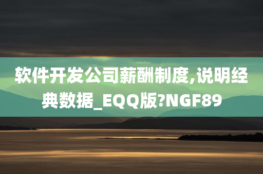 软件开发公司薪酬制度,说明经典数据_EQQ版?NGF89