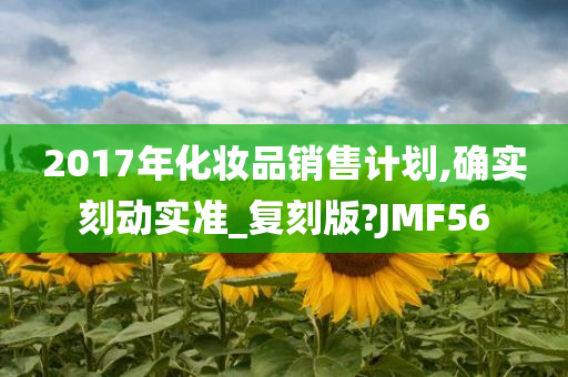 2017年化妆品销售计划,确实刻动实准_复刻版?JMF56