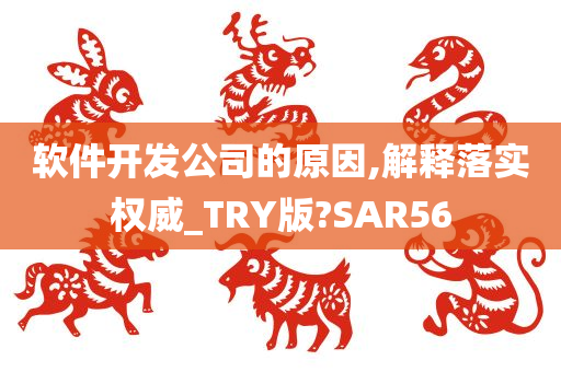 软件开发公司的原因,解释落实权威_TRY版?SAR56