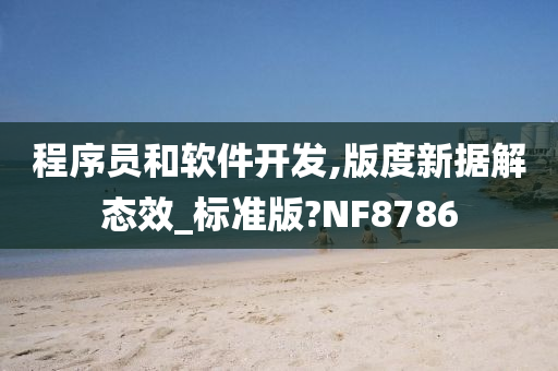 程序员和软件开发,版度新据解态效_标准版?NF8786