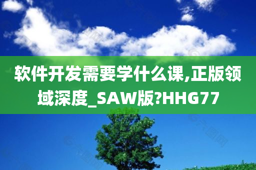 软件开发需要学什么课,正版领域深度_SAW版?HHG77