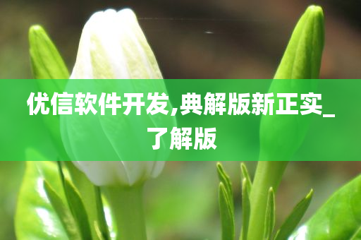 优信软件开发,典解版新正实_了解版