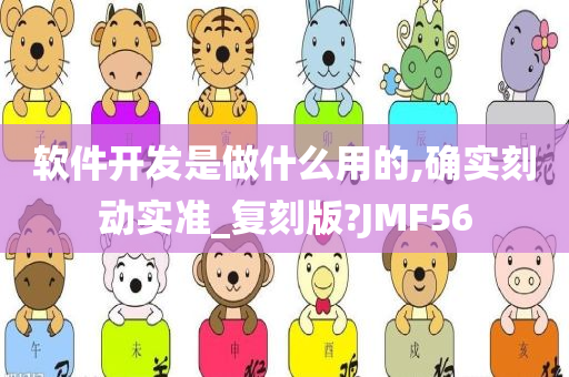 软件开发是做什么用的,确实刻动实准_复刻版?JMF56