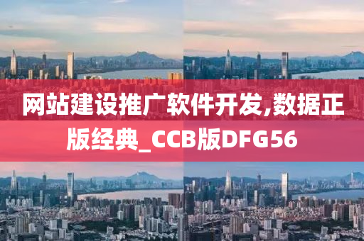 网站建设推广软件开发,数据正版经典_CCB版DFG56