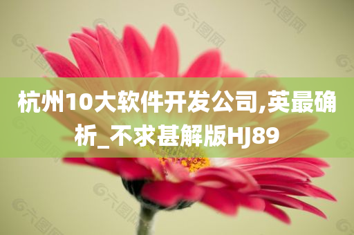 杭州10大软件开发公司,英最确析_不求甚解版HJ89