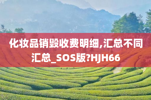 化妆品销毁收费明细,汇总不同汇总_SOS版?HJH66